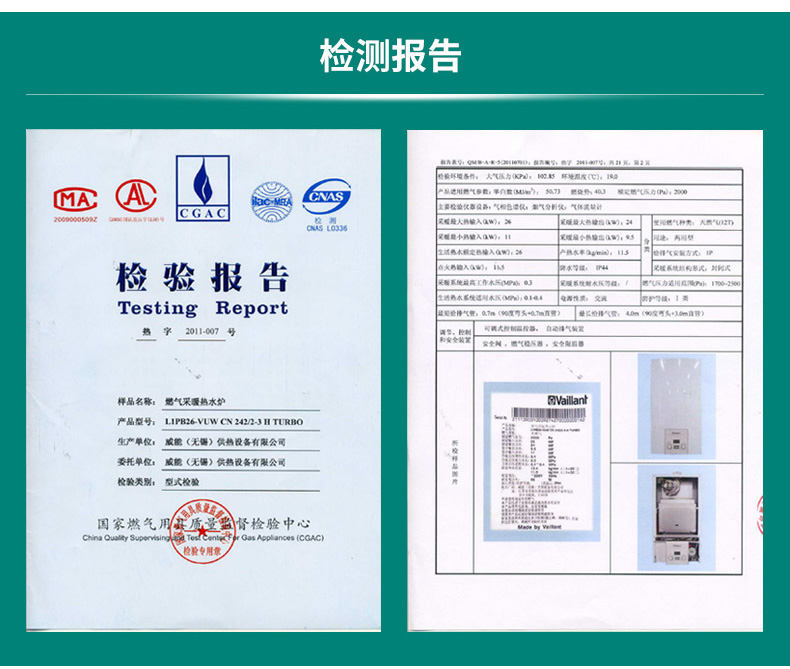 进口冷凝壁挂式燃气采暖热水炉