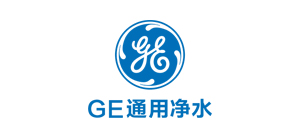 美国GE